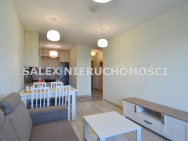 Mieszkanie Żory wynajem