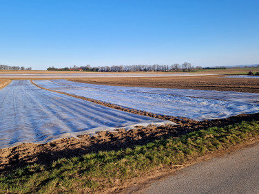 Działka siedliskowa Krzysztoforzyce
