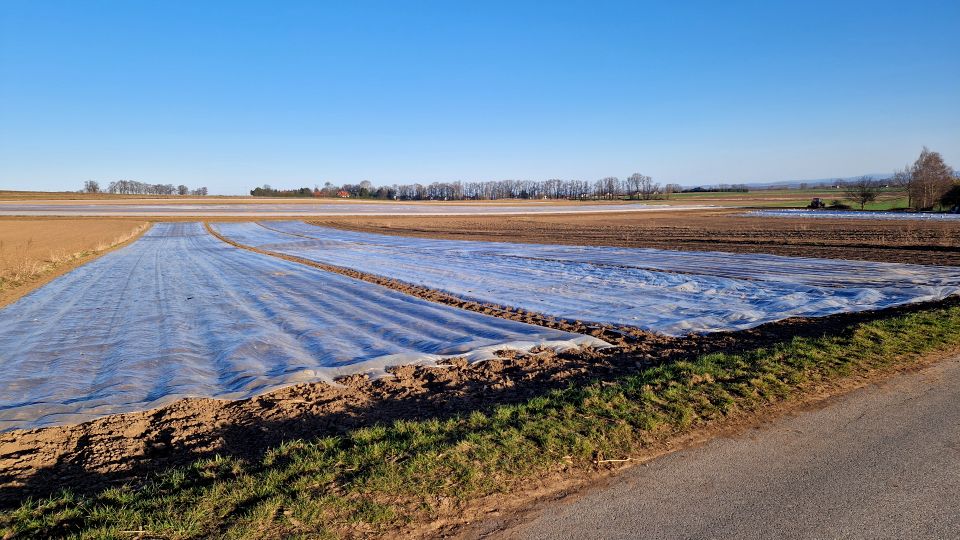Działka siedliskowa Krzysztoforzyce