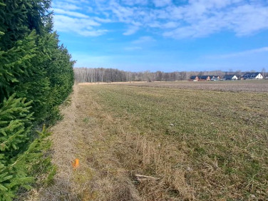 Działka budowlana Zgierz