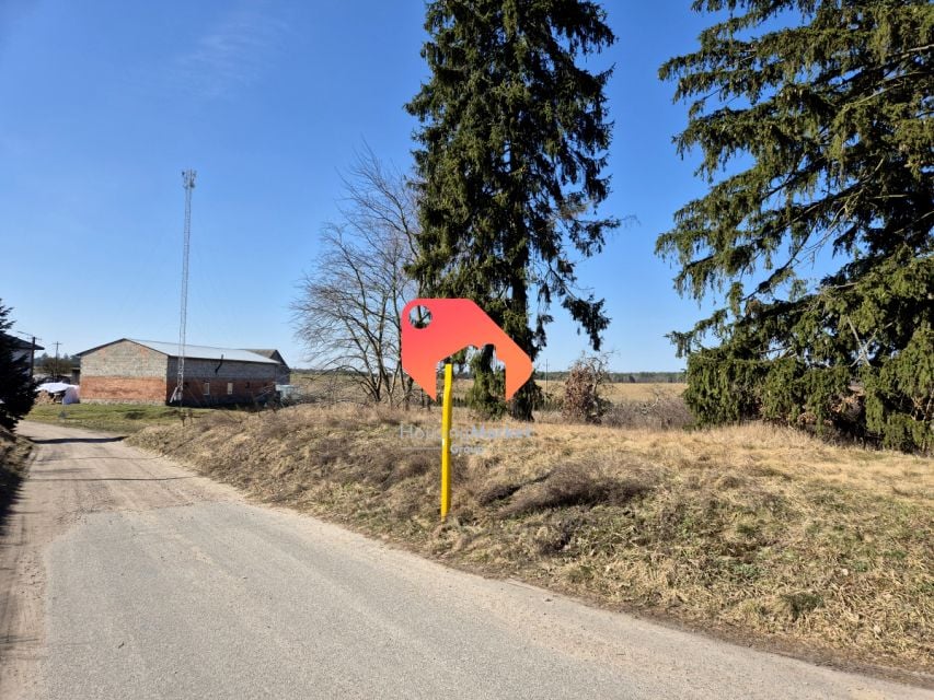 Zdjęcie 3