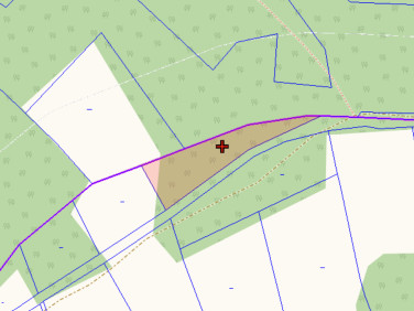 Działka leśna Obidowa