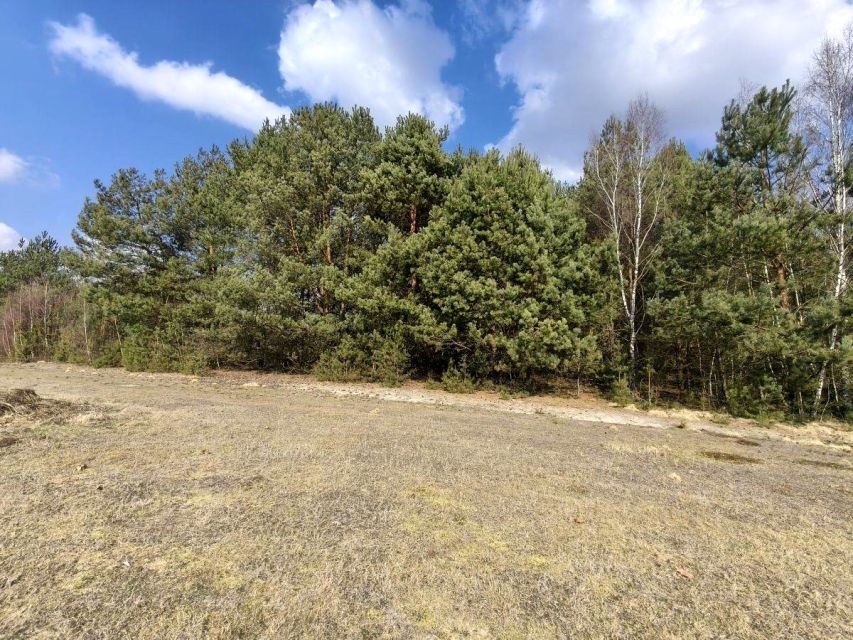 Działka rolna Franciszków