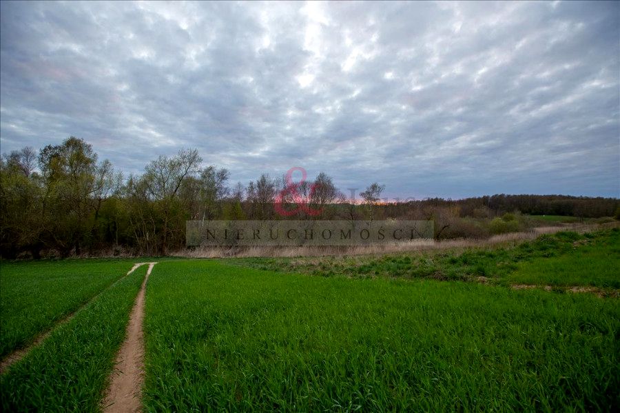 Działka leśna Ciechocin