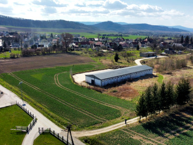 Budynek użytkowy Ołdrzychowice Kłodzkie