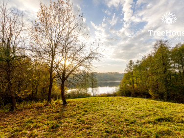 Działka siedliskowa WŁODOWO