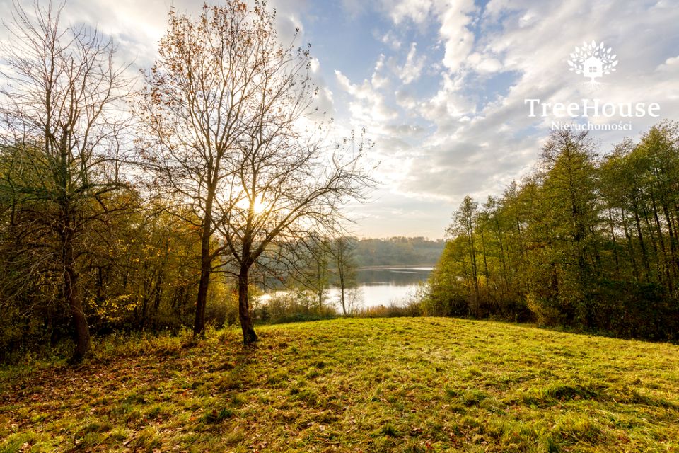 Działka siedliskowa WŁODOWO