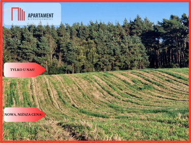 Działka Wiewiórczyn