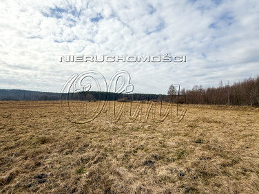 Działka budowlana Lubowidz