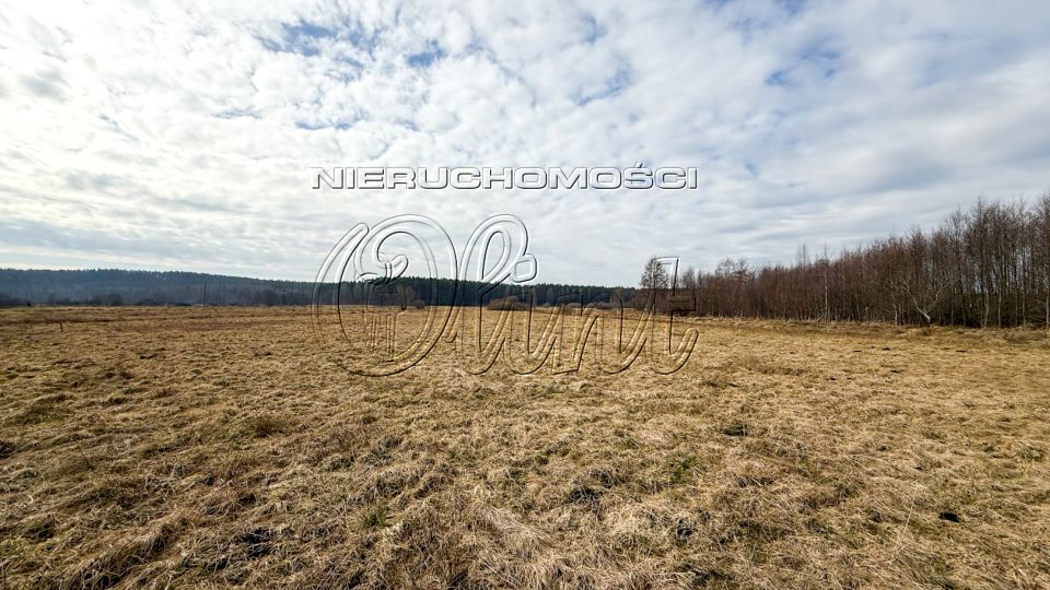 Działka budowlana Lubowidz