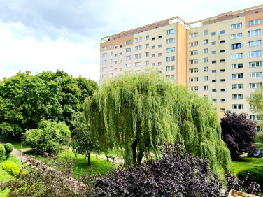 Mieszkanie Szczecin sprzedaż