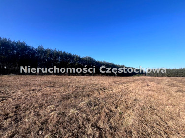 Działka Aleksandria