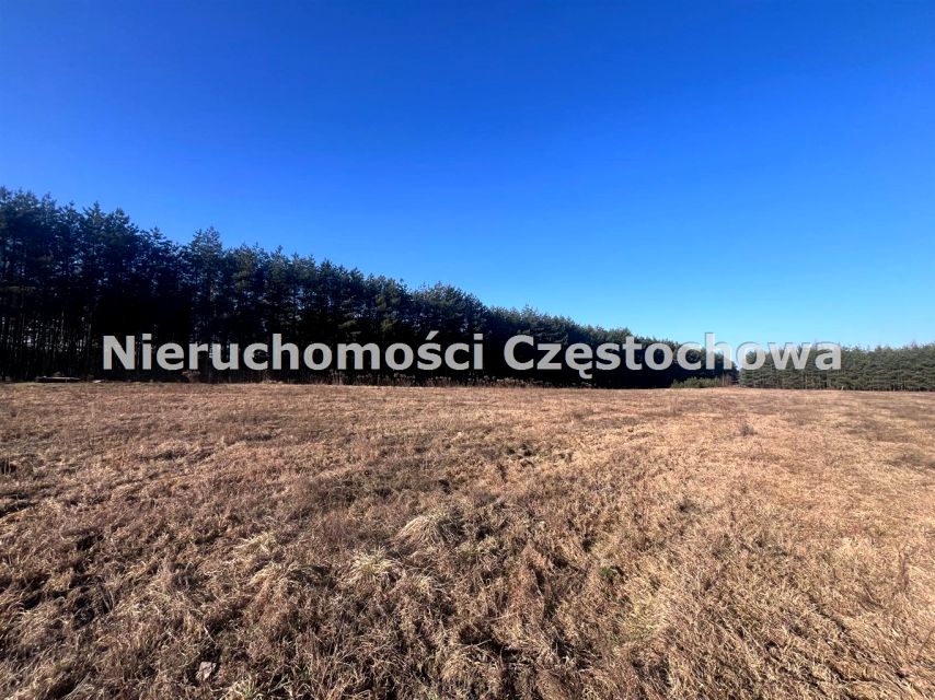 Działka Aleksandria