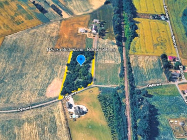 Działka budowlano-rolna Czernica