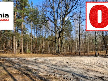 Działka Warszawa