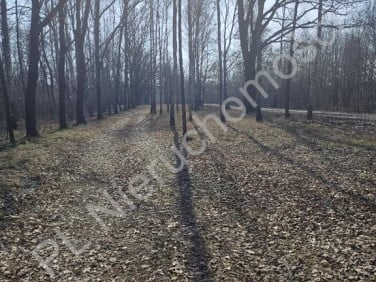 Działka budowlana sprzedam