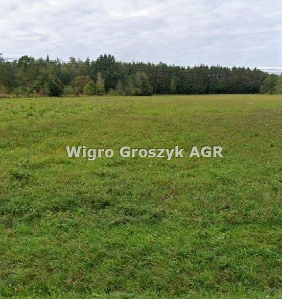 Zdjęcie 2