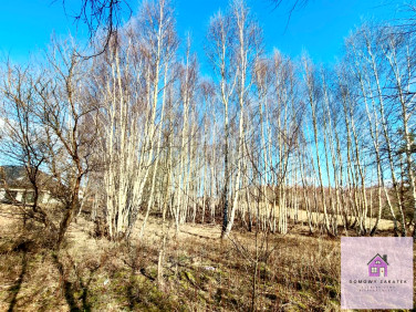 Działka usługowa Cewice