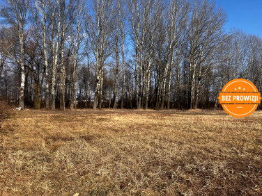 Działka usługowa Teresin