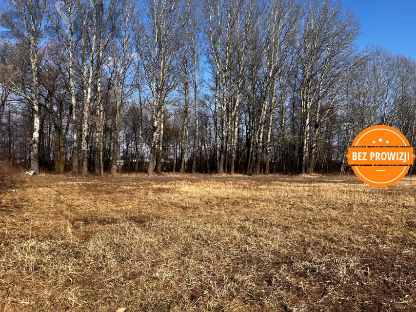 Działka usługowa Teresin