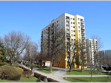 Mieszkanie Bielsko-Biała