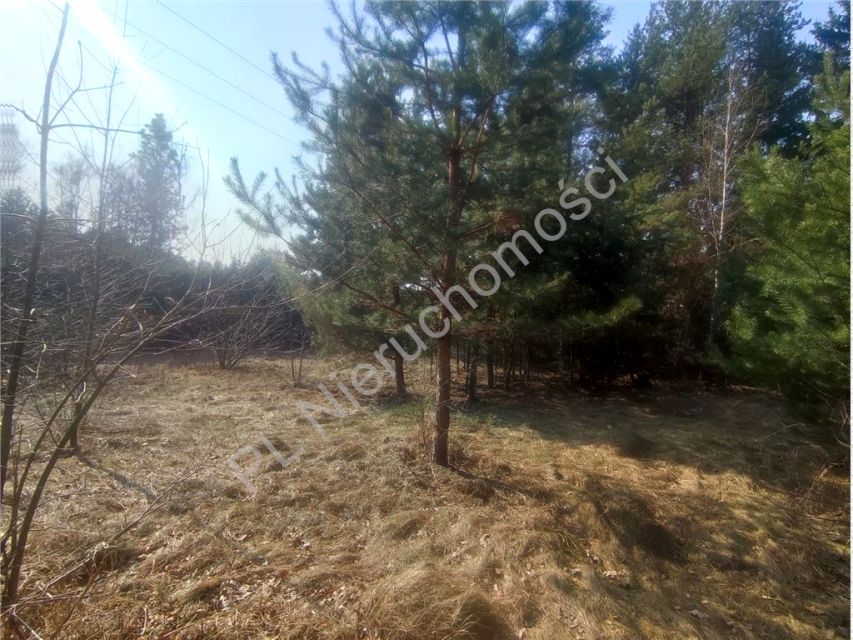 Działka budowlana Wolica