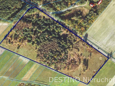 Działka rolna Czempisz