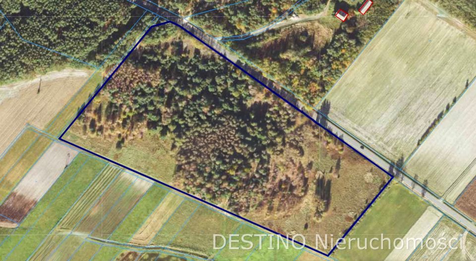 Działka rolna Czempisz