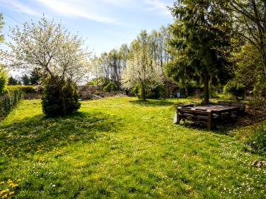 Działka rekreacyjna sprzedam