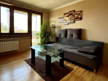 Mieszkanie Sochaczew