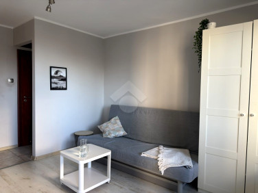 Mieszkanie Kraków wynajem