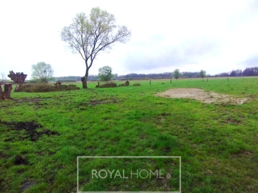 Działka budowlana Dobropole Gryfińskie