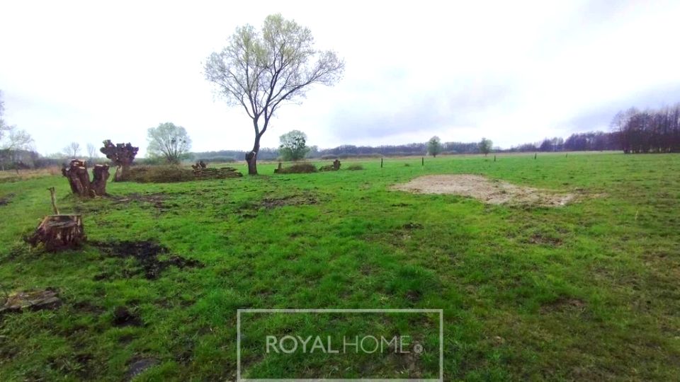 Działka budowlana Dobropole Gryfińskie