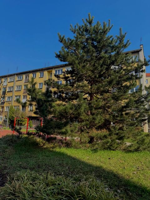 Mieszkanie blok mieszkalny nad rzeką