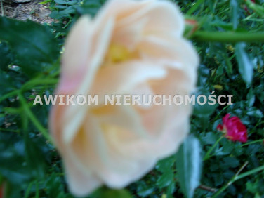 Działka budowlana Kady