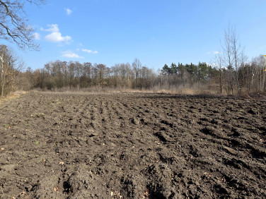 Działka budowlana Dąbrowica sprzedam
