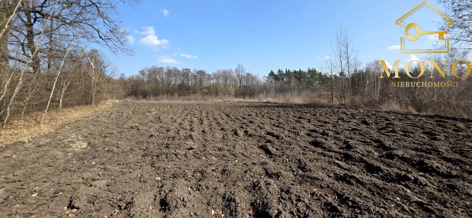Działka budowlana Dąbrowica sprzedam