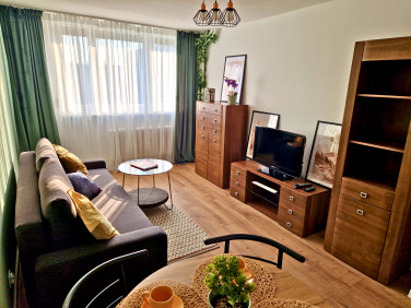 Mieszkanie Opole wynajem