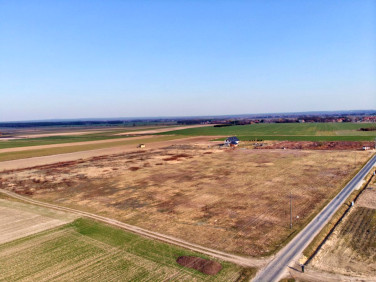 Działka inna Pawłów Trzebnicki