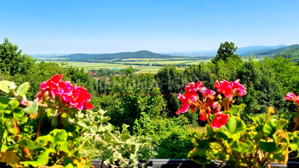 Dom wolnostojący sprzedaż