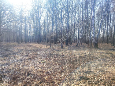 Działka budowlana Milanówek