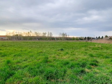 Działka usługowa Wola Gołkowska