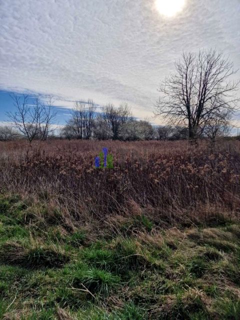 Działka budowlana Jeszkowice