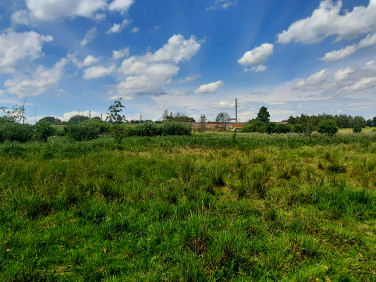 Działka rolna Wola Gołkowska