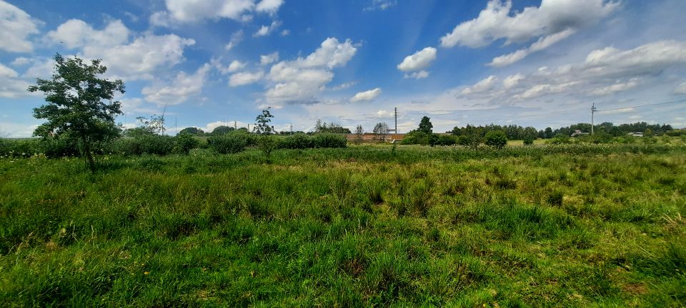 Działka rolna Wola Gołkowska