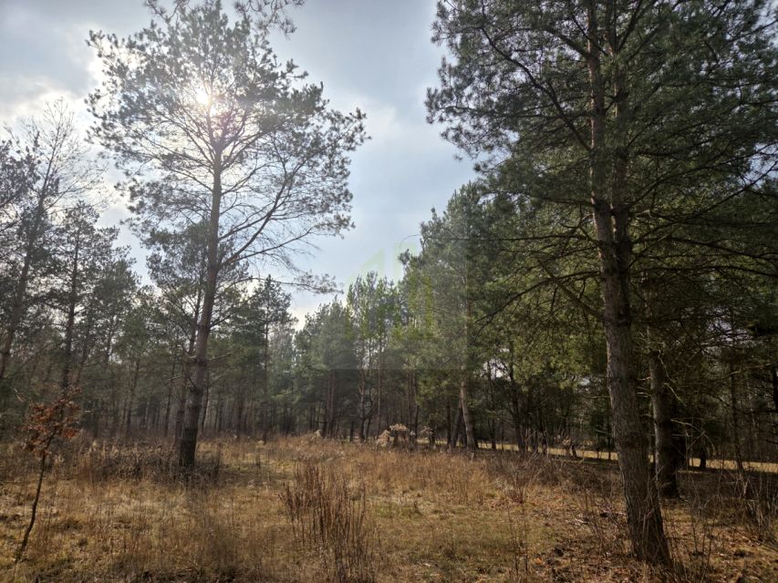Działka budowlana Budy Zaklasztorne