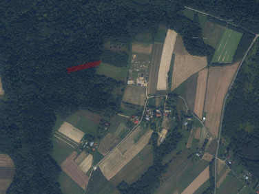 Działka leśna Wysoka Strzyżowska