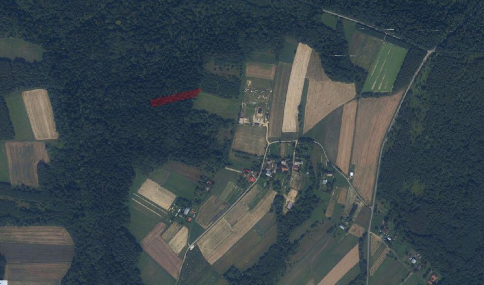 Działka leśna Wysoka Strzyżowska