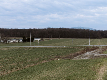 Działka Kamionna