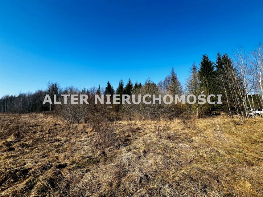 Działka budowlana Ciasne sprzedam